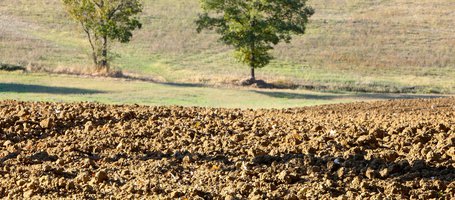 The 3 stages of soil cultivation